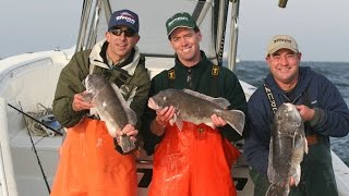 Blackfish Fishing Tautog  Sandy Hook NJ preview [upl. by Iveson715]