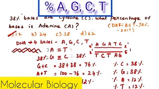 How to calculate composition of bases in DNA  What is  of Adenine if  of Cytosine is 38 [upl. by Reimer]