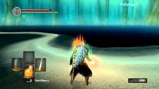 Dark Souls Walkthrough HD FR Part 26  Le Lac cendré [upl. by Halfdan190]