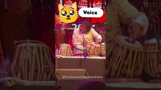 Tabla new video 📸 📷 Cat voice ustadzakirhussain funnytablaplayzakirhussain shortvideo [upl. by Bocoj634]