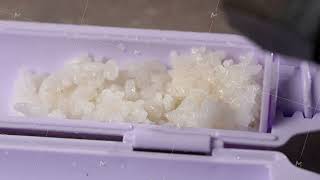 Chef spreading rice on nori sheet using sushi machine [upl. by Ihcur]