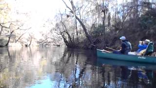 Canoeing downstream on the Alapaha River  WWALS 20140118 [upl. by Yslehc]