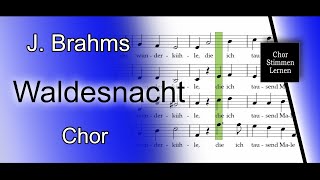 Waldesnacht J Brahms – alle Stimmen Chor  all voices choir [upl. by Almira]