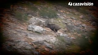 Montería en Cerro del Águila ¡VÍDEO COMPLETO [upl. by Haimehen797]