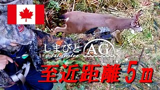 【カナダ田舎暮らし】【コンパウンドボウ】狩猟、5mの至近距離、驚異的威力コンパウンドボウでシカを仕留めるハンティング鹿猟  弓矢を使用してシカの待ち伏せ猟 [upl. by Roda338]