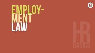 HR Basics Employment Law [upl. by Lynnea826]