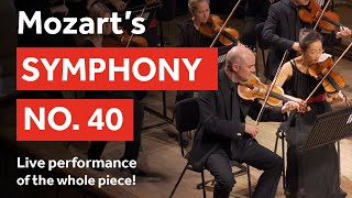 Mozarts Symphony No 40 – performed live by the London Mozart Players whole piece [upl. by Jenks]