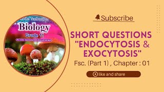 quotEndocytosis amp Exocytosis 1st Year Biology  QampA  Federal Board Islamabadquot [upl. by Maximilian]