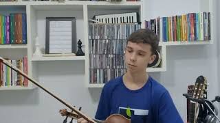 Eu Te Devoro  Djavan cover violino [upl. by Ilojna686]