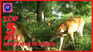 Best Mineral Block for Deer Reviews in 2023 [upl. by Pond632]