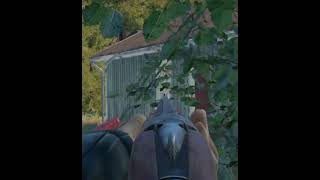 Especial de ESCOPETA gaming gameplay pvp gamer xbox fail gamers gamer pc ps5 ps4 funny [upl. by Eelhsa12]