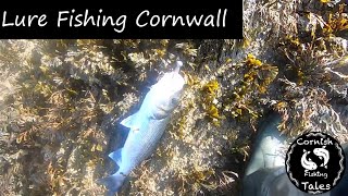 Lure Fishing Cornwall  Back At The Mega Spot Fishing For Bass [upl. by Notnyw909]