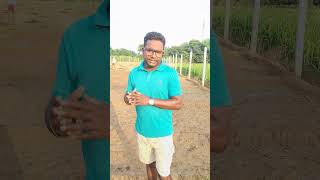 जमाव 100onion farming khetibadi seed onions pyaj [upl. by Friede]