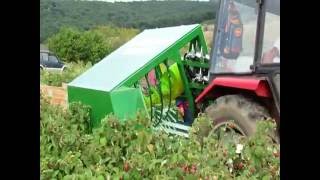 BERAČ ZA RIBIZLE ARONIJU ŠIPURAK I MALINE POLANU  Raspberry harvesting machine [upl. by Oiredised]