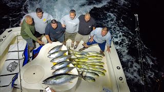 San Diego Offshore FIshing Yellowfin Tuna on The Troll amp Dorado on Live Sardines Nomad Sportfishing [upl. by Nit32]