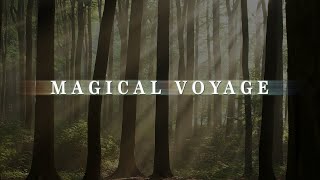 Magical Voyage  Music For Contemplating the Indescribable Beauty of Life [upl. by Odraode635]