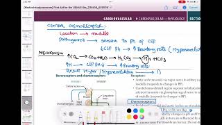 chemoreceptors peripheral and central cardiology 47  First Aid USMLE Step 1 in UrduHindi [upl. by Anil]