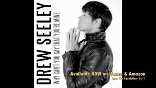 Drew Seeley  Why Cant You Say That Youre Mine [upl. by Alonzo55]