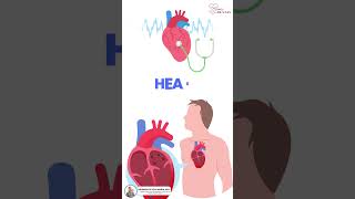 ECHOCARDIOGRAM [upl. by Ahtan]