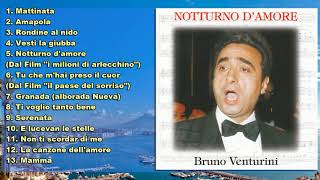 Bruno Venturini Notturno damore [upl. by Attoynek988]