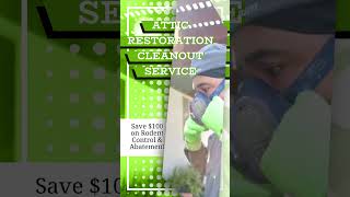 Attic Restoration Clean Out Service  VersaTech®  Los Angeles Pest amp Rodent Control [upl. by Pinzler566]