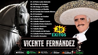 🔥 MIX VICENTE FERNANDEZ 🔥 CORRIDOS DE CABALLOS 🐴 30 EXITOS MEJORES CANCIONES MIX 🔥 [upl. by Aneri114]