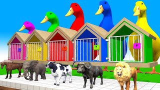 New 5 Giant Duck Cartoon Elephant Tiger Gorilla Dinosaur Buffalo 3d Animal Long Slide Game part 15 [upl. by Ebeneser]