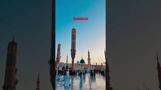 subhanallah masjidnabawi beautiful [upl. by Amandy]