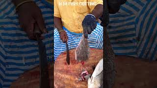 SOLE FISH 🐟 KASIMEDU AMAZING FISH CUTTING SKILLS selvamcutting [upl. by Griseldis867]