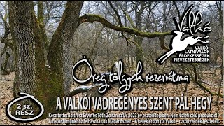 SZENTPÁL falu és SZARMATA KURGÁNOK a vadregényes Valkói Szent Pálhegyen [upl. by Aikrehs]