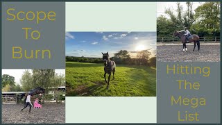 Loose Jumping My Horse 🤩  Hitting The Mega Job List  Equestrian Vlog [upl. by Aihgn]