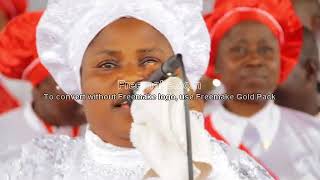 99  Praise By PROPHETESS BISI ALAWIYE  MOUNT HOREB 2018 [upl. by Naujaj]