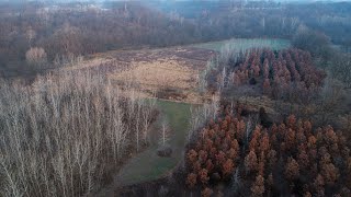 Outstanding Deer Hunting Farm With Cabin For Sale In Fulton County IL 91 Acres [upl. by Par]