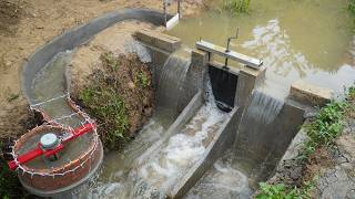 You Wont Believe What Happens When You Block Water to Build a Hydroelectric Plant [upl. by Em]