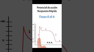 ¡Esto es el batmotropismo shorts short excitabilidad cardiology [upl. by Davey]