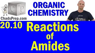 2010 Synthesis and Reactions of Amides  Organic Chemistry [upl. by Sucramej347]