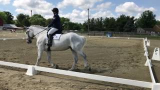 Dressage  Novice Test A [upl. by Aluk]