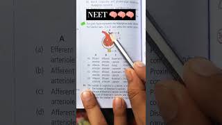 Diagram of Malpighian body and give this answer youtubeshort neet neetncertbiology [upl. by Odlabso]