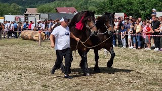 Parada cailor de la Marginea Bucovina 23 Iunie 2024 [upl. by Ibrab70]