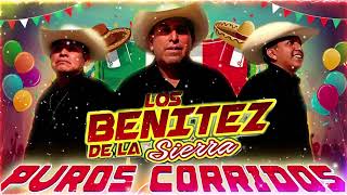 Los Benitez Dela Sierra  Corridos Las Mejores Canciones  Corridos Y Rancheras Mix 2024 [upl. by Agace596]