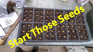 Starting Seeds For Cool Weather Crops [upl. by Evanne526]