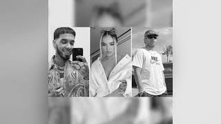 Feid ❌ Anuel AA ❌ Karol G  IA CUMBIA Juanseonthecloud [upl. by Dnanidref166]