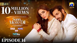 Sunn Mere Dil EP 14 Eng Sub Digitally Presented by LUX  Happilac Paints and Ujooba Beauty Cream [upl. by Moitoso]