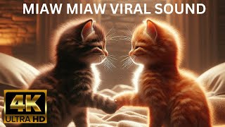 Miaw Miaw Meaw Sad Song  Viral Sound [upl. by Tillion]