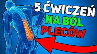 5 ĆWICZEŃ NA BÓL PLECÓW [upl. by Neeloc]