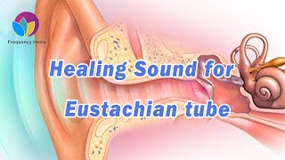 Healing Sound for Eustachian Tube Dysfunction  Relieve Ear Pain amp Reduce Hearing Difficulty [upl. by Rhiana347]