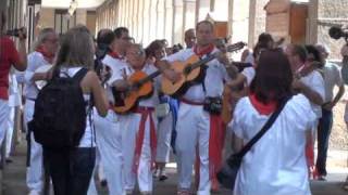 Fiestas de Tafalla 18 08 10 parte 1 [upl. by Muire713]