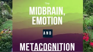 The Midbrain Emotion and Metacognition [upl. by Yeltnarb278]