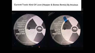 Incubus  Kind Of Love Hopper amp Bones Remix [upl. by Noiwtna203]