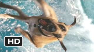 Marmaduke 5 Movie CLIP  Marmaduke Shreds 2010 HD [upl. by Webber]